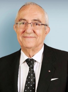 Mehmet Hulusi Demir