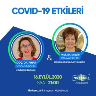 Netkent Biz Bize
